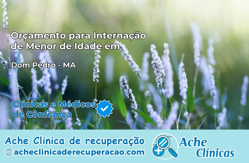 Internação de Menor de Idade em Dom Pedro – MA