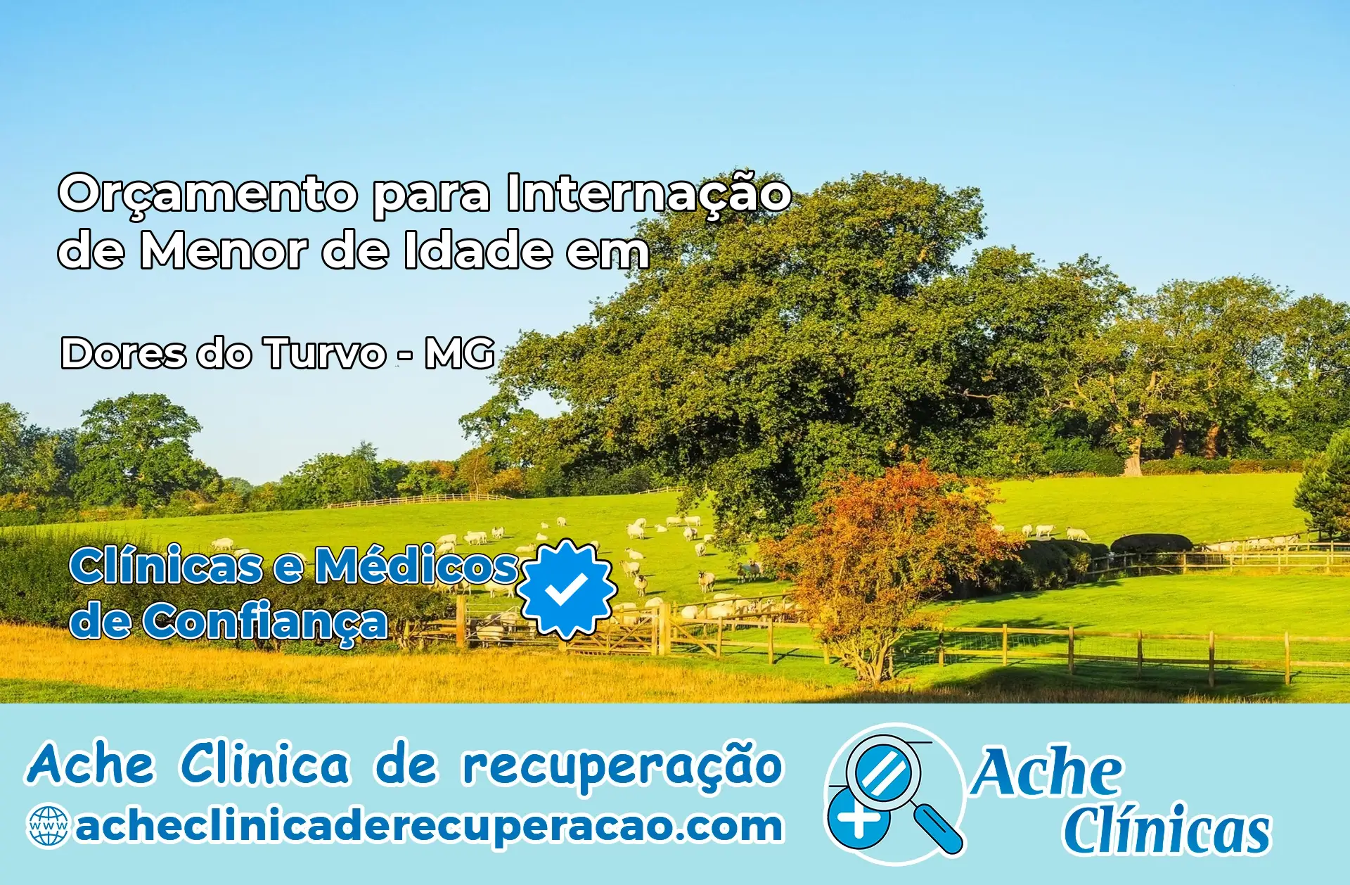 Internação de Menor de Idade em Dores do Turvo – MG