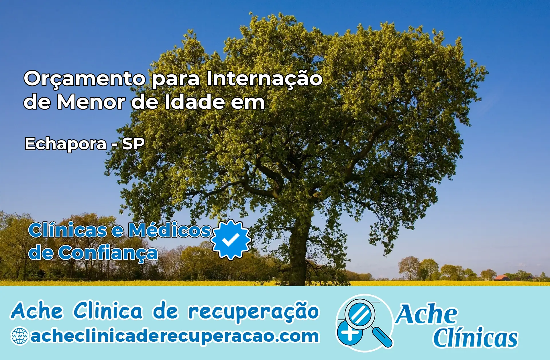 Internação de Menor de Idade em Echaporã – SP