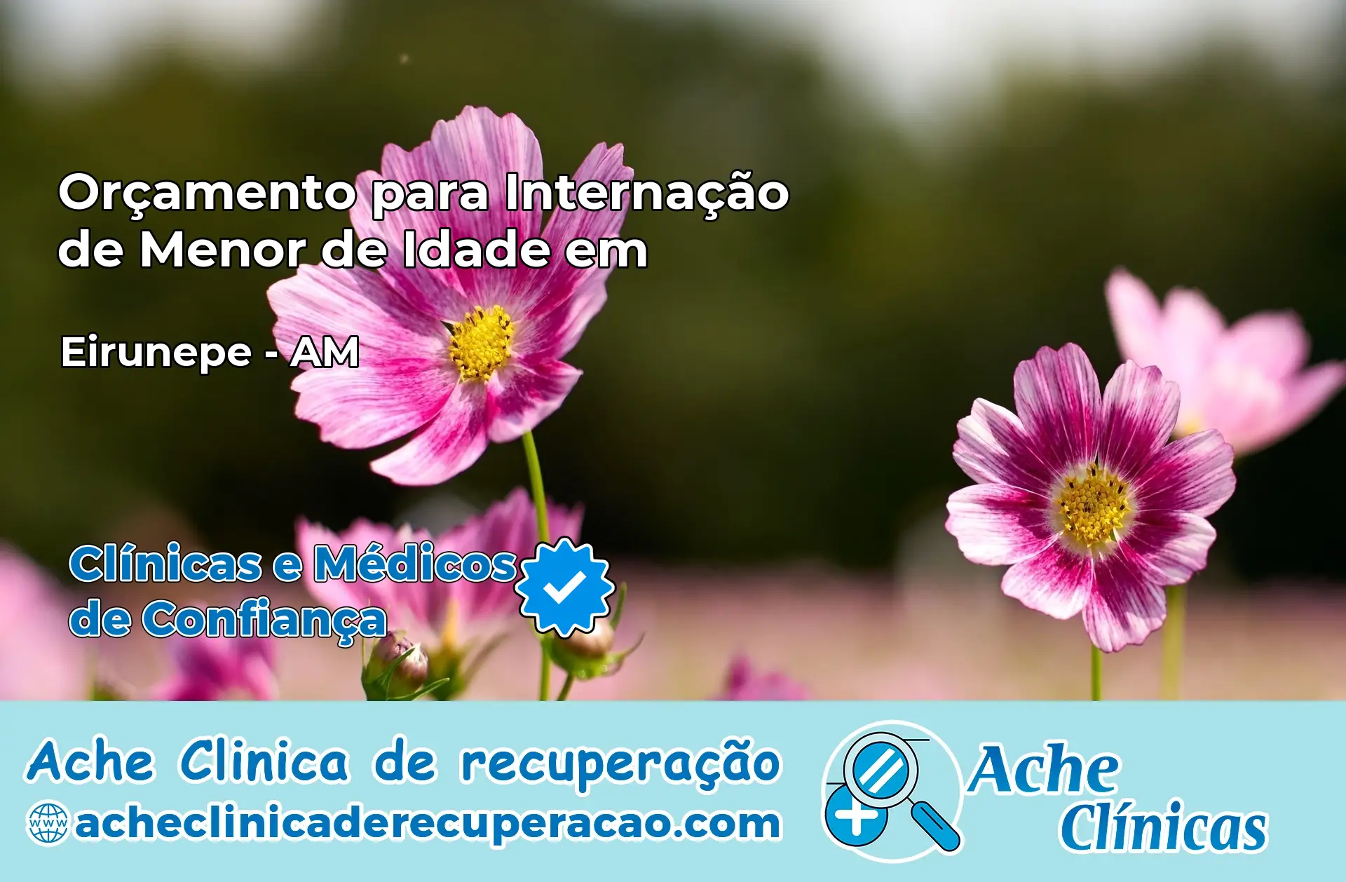 Internação de Menor de Idade em Eirunepé – AM