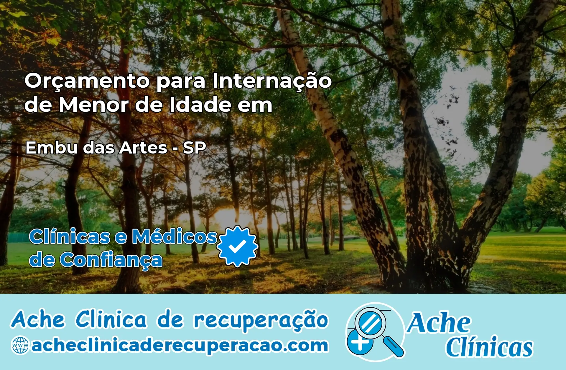 Internação de Menor de Idade em Embu das Artes – SP