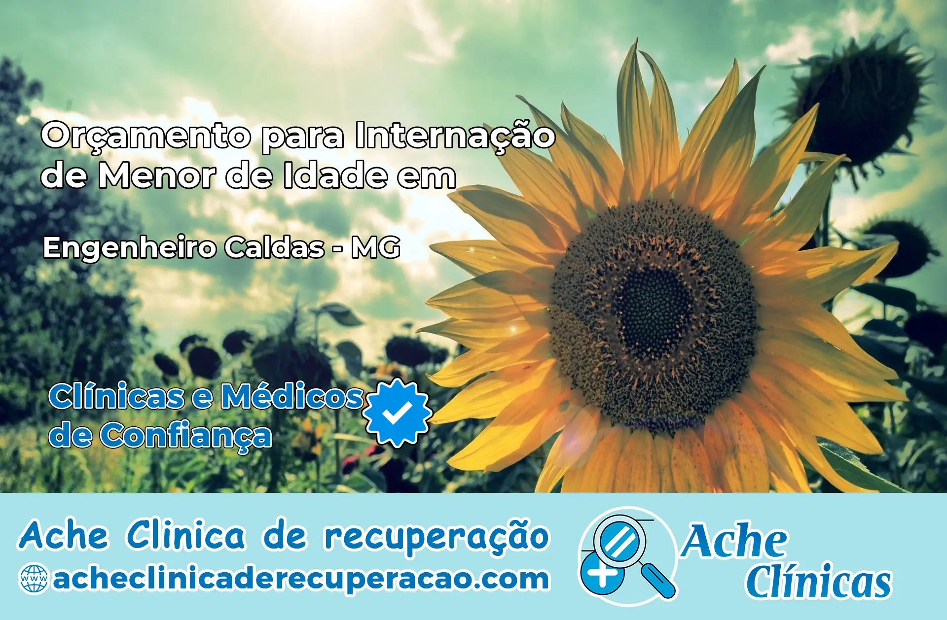Internação de Menor de Idade em Engenheiro Caldas – MG