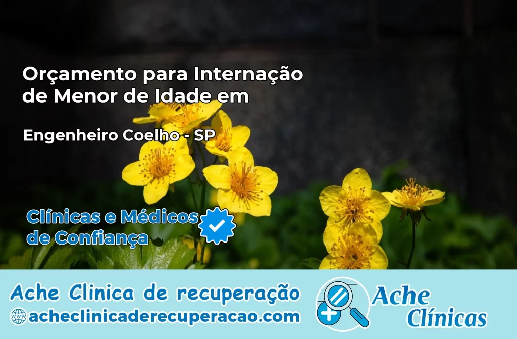Internação de Menor de Idade em Engenheiro Coelho – SP