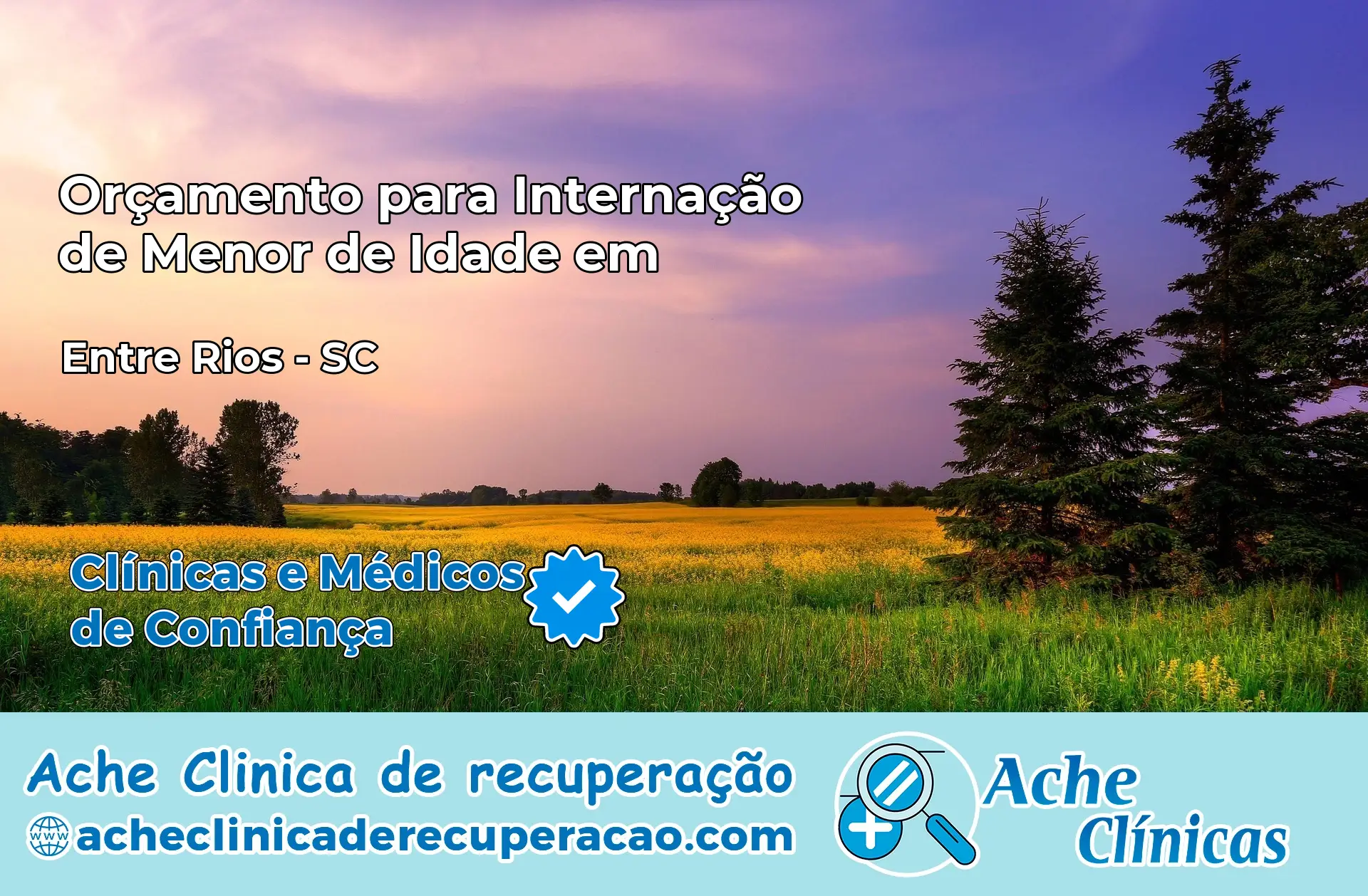 Internação de Menor de Idade em Entre Rios – SC