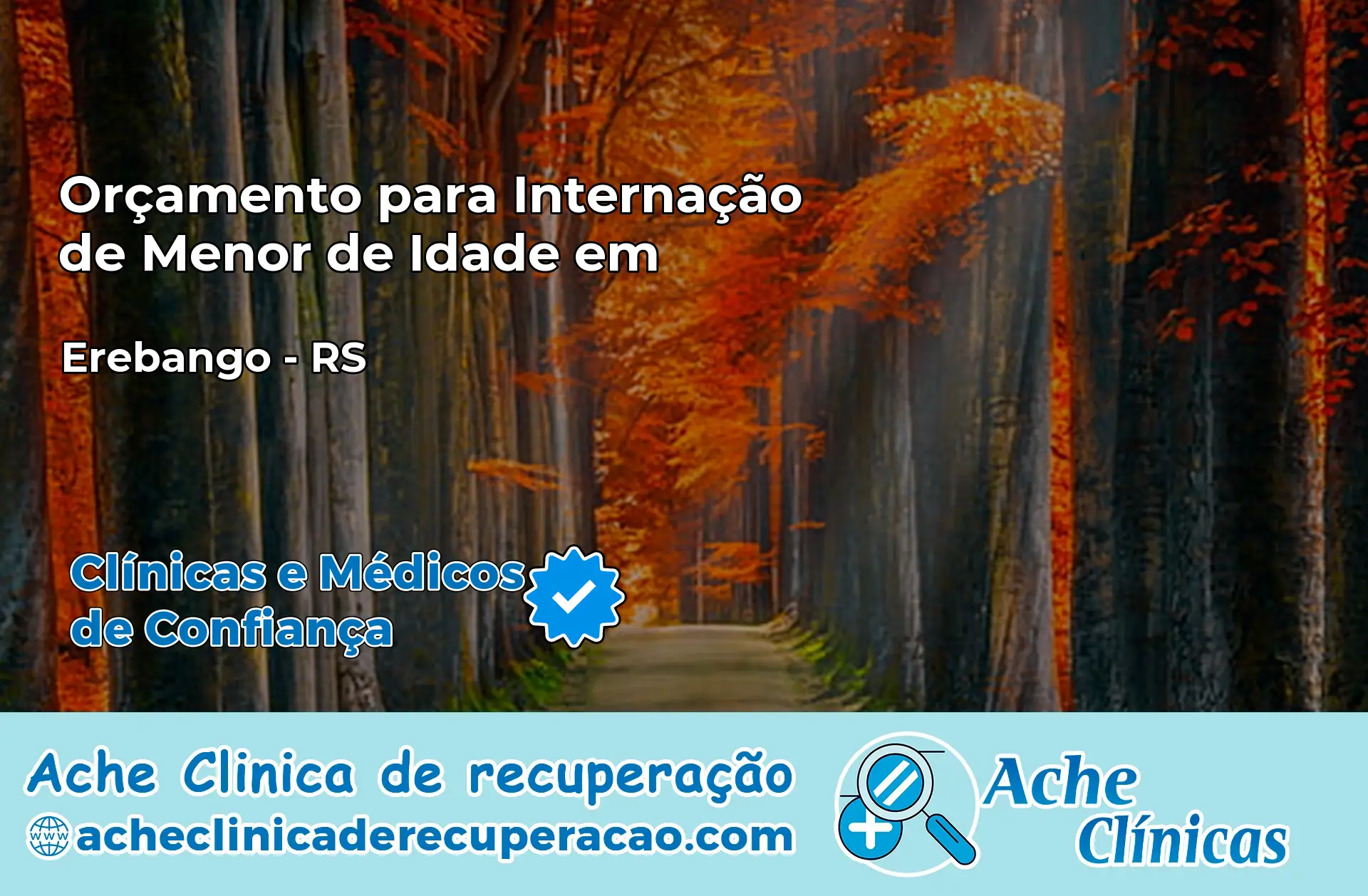 Internação de Menor de Idade em Erebango – RS