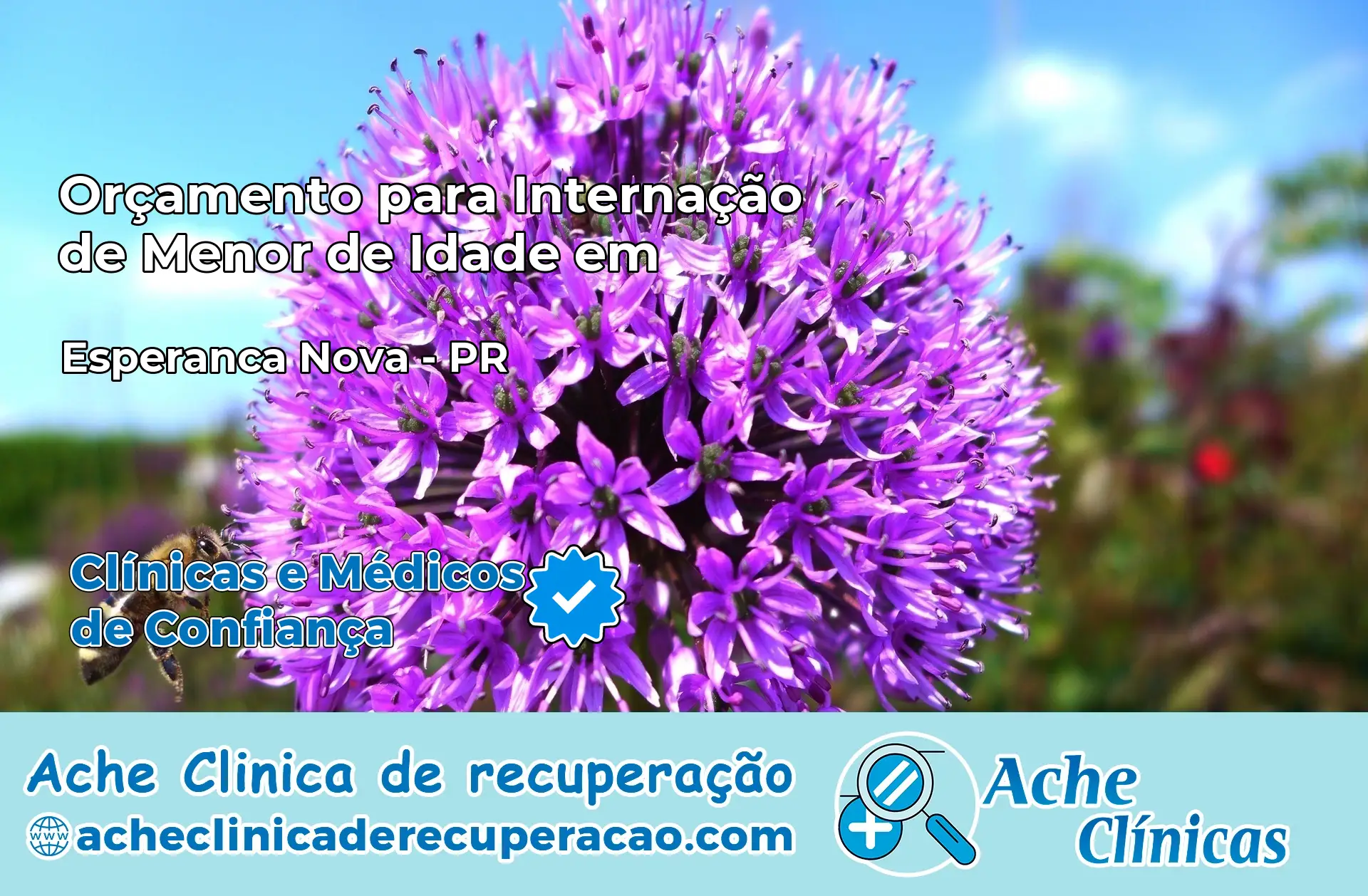 Internação de Menor de Idade em Esperança Nova – PR