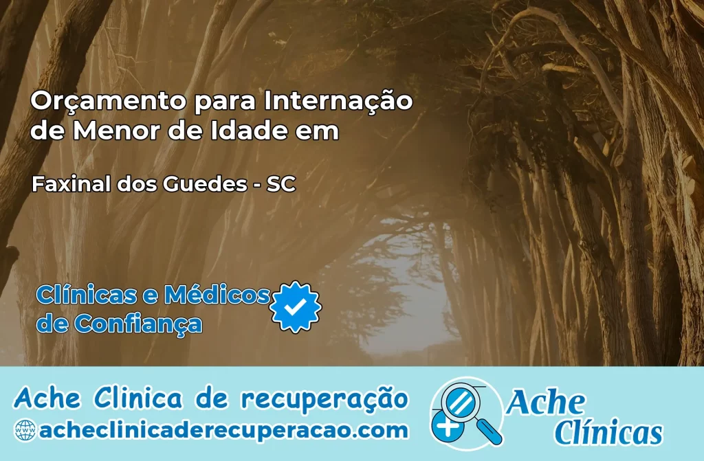 Internação de Menor de Idade em Faxinal dos Guedes – SC
