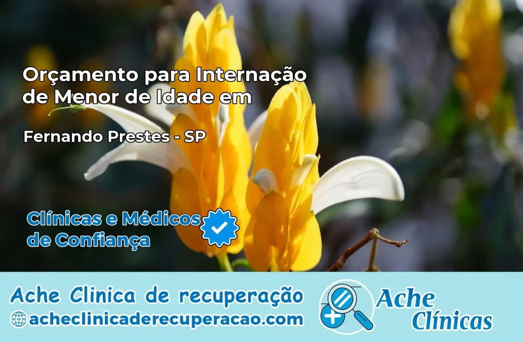 Internação de Menor de Idade em Fernando Prestes – SP