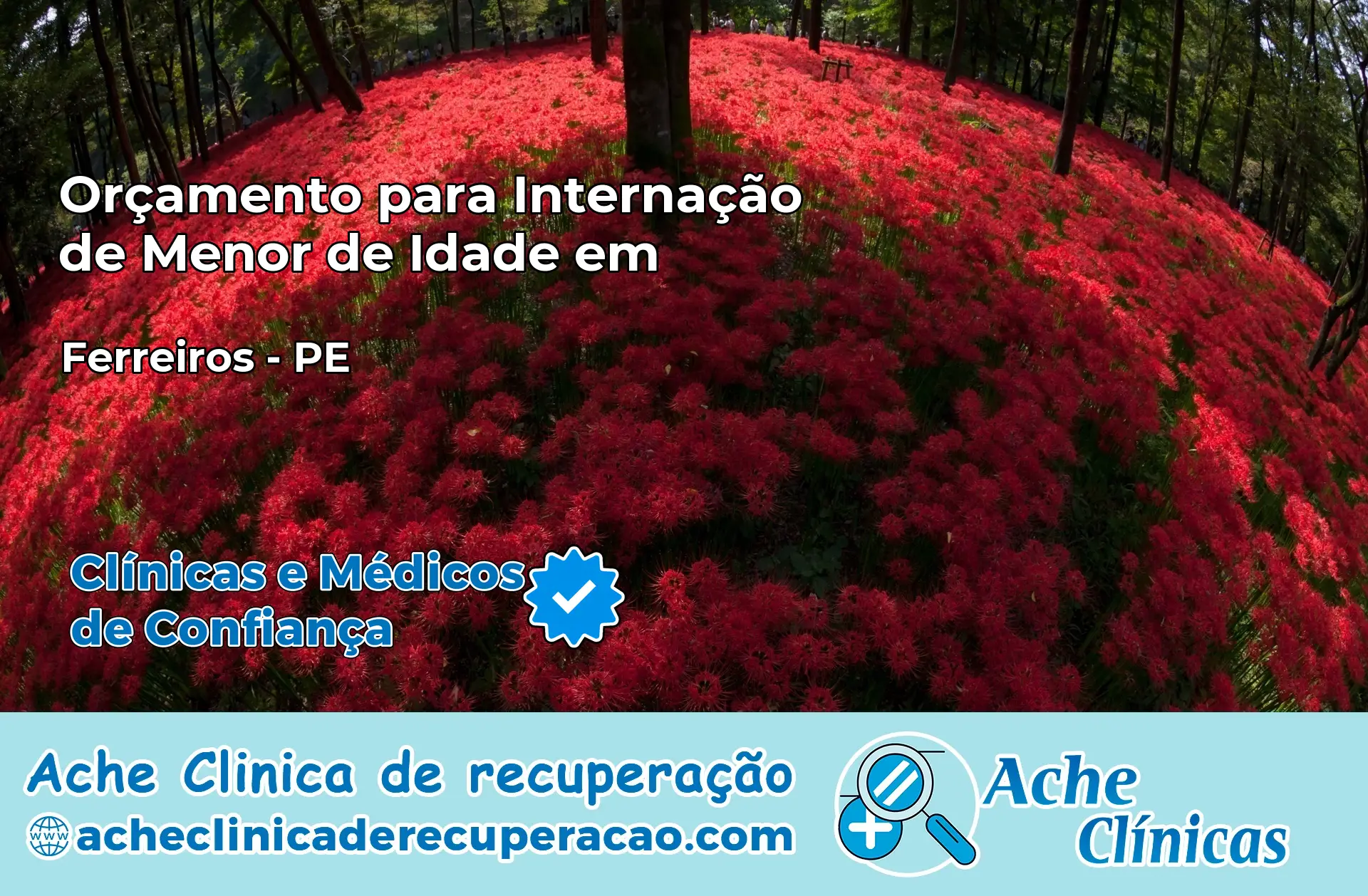 Internação de Menor de Idade em Ferreiros – PE