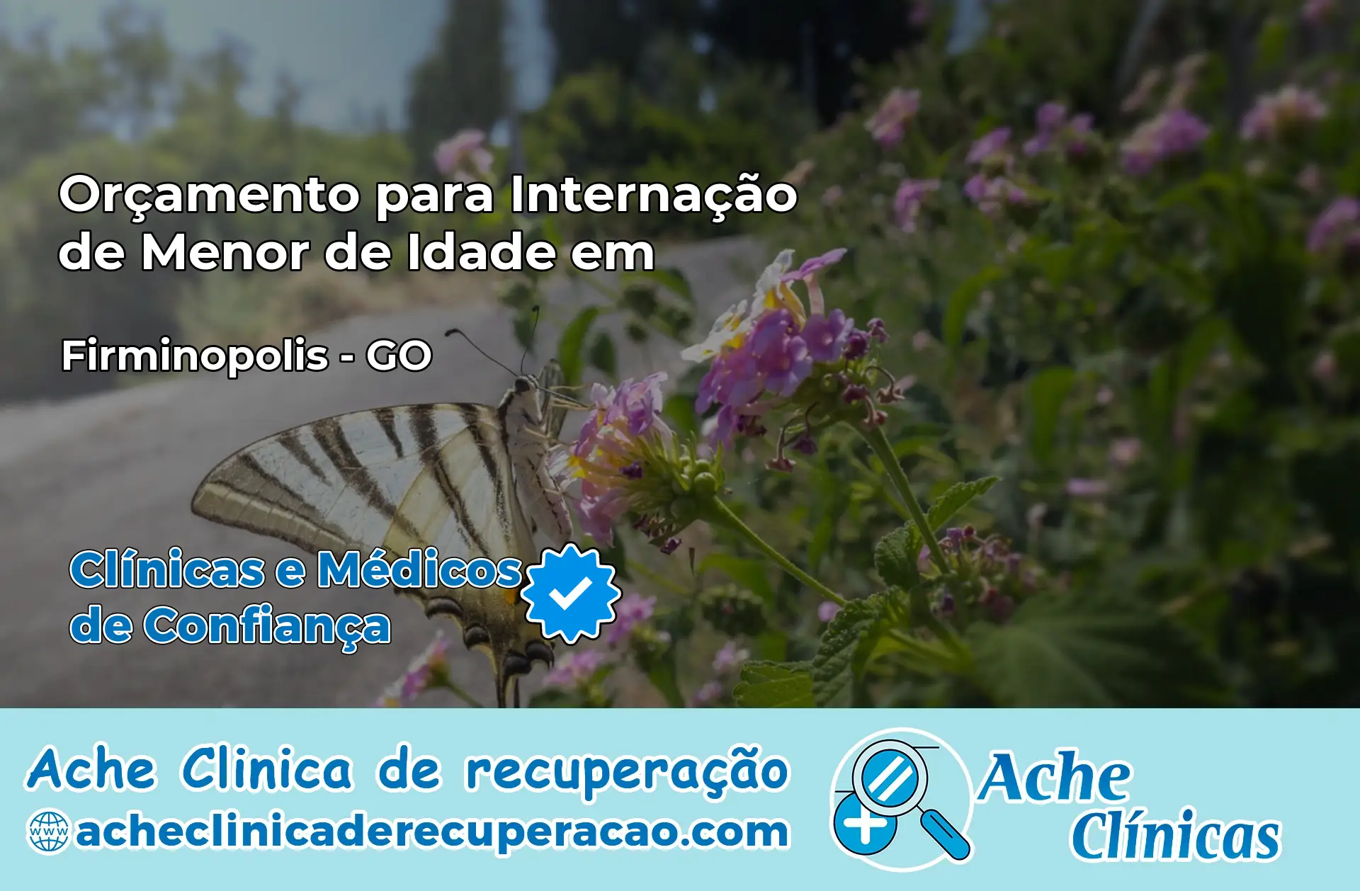 Internação de Menor de Idade em Firminópolis – GO