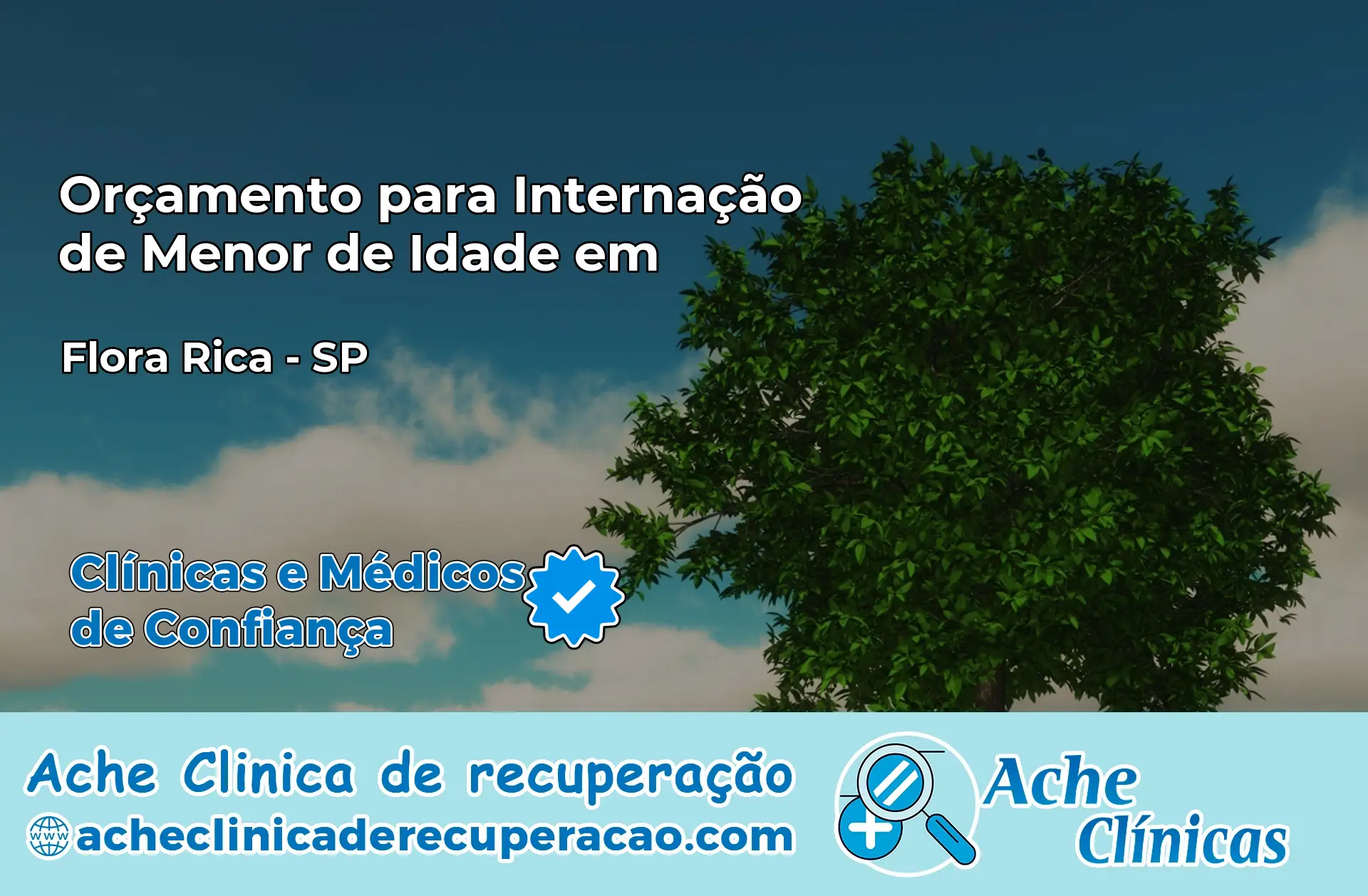 Internação de Menor de Idade em Flora Rica – SP