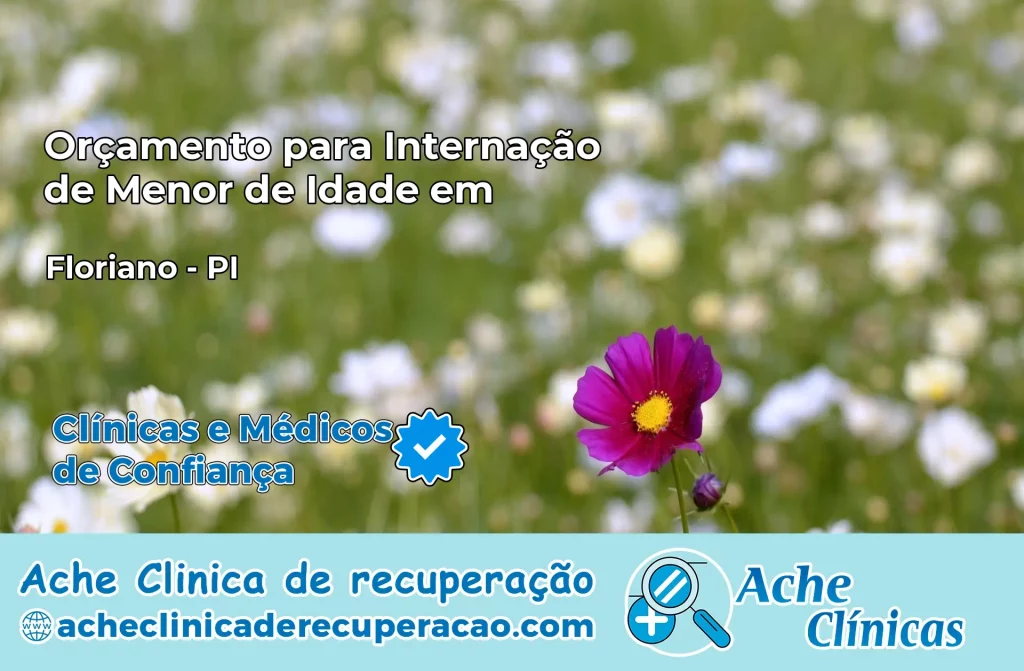 Internação de Menor de Idade em Floriano – PI