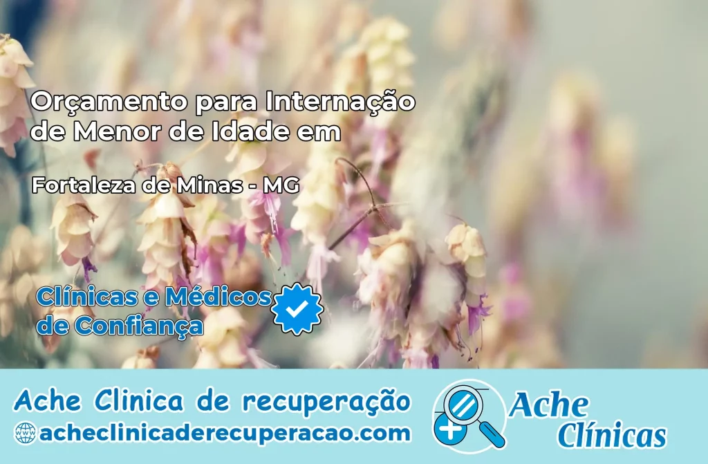 Internação de Menor de Idade em Fortaleza de Minas – MG