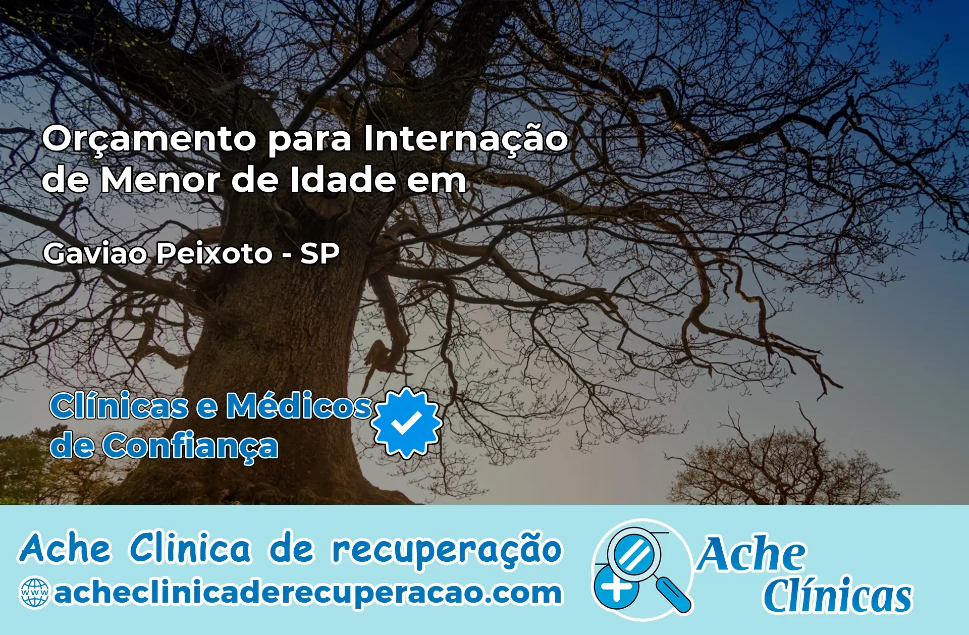 Internação de Menor de Idade em Gavião Peixoto – SP