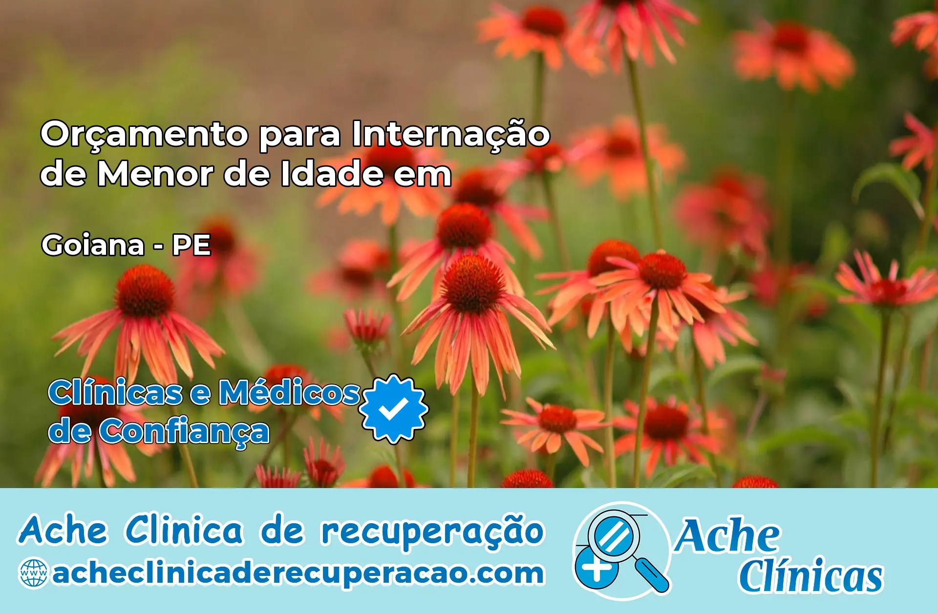 Internação de Menor de Idade em Goiana – PE