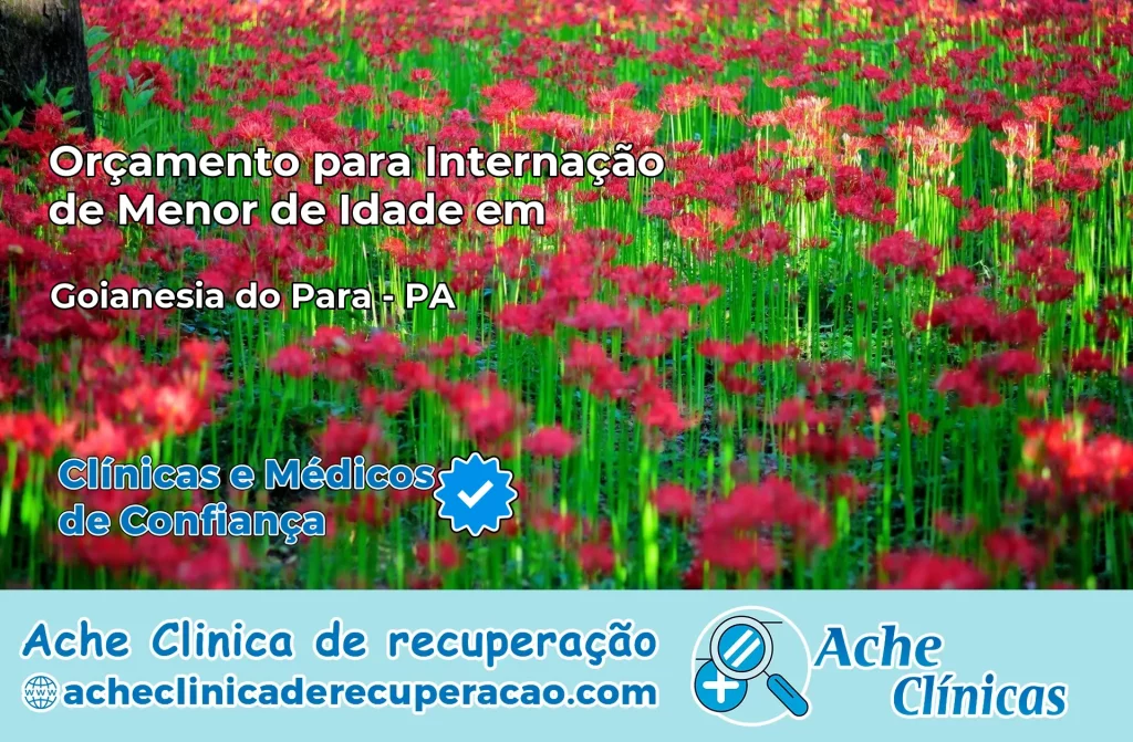 Internação de Menor de Idade em Goianésia do Pará – PA