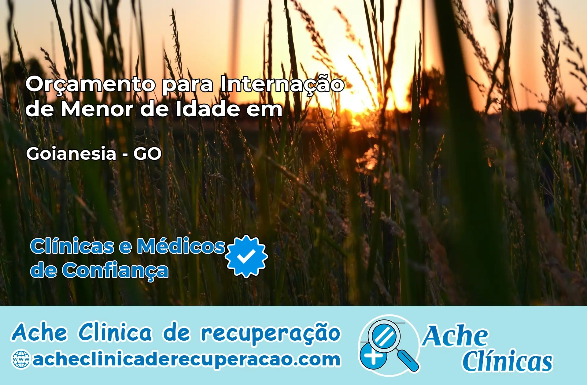 Internação de Menor de Idade em Goianésia – GO