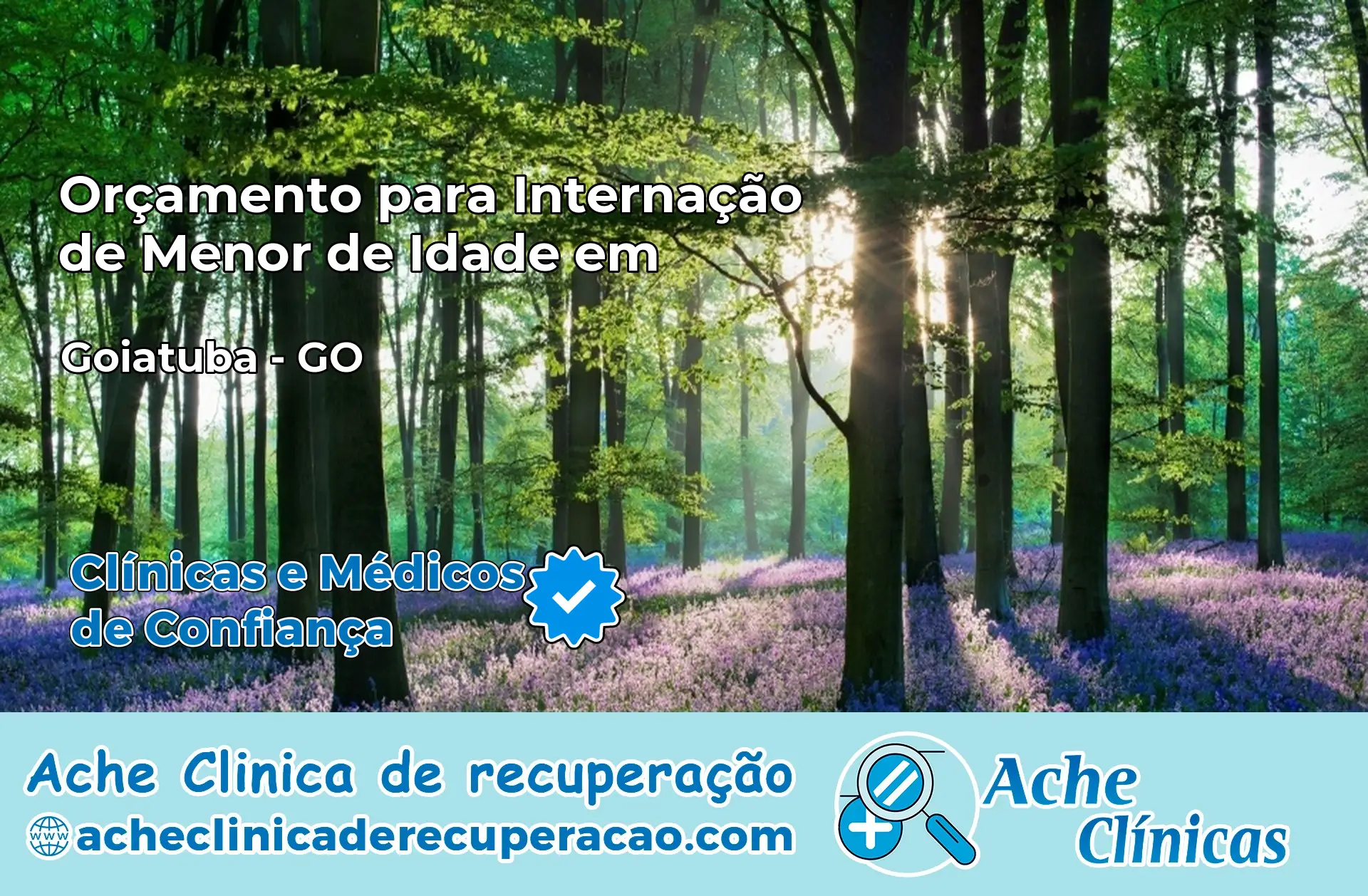Internação de Menor de Idade em Goiatuba – GO