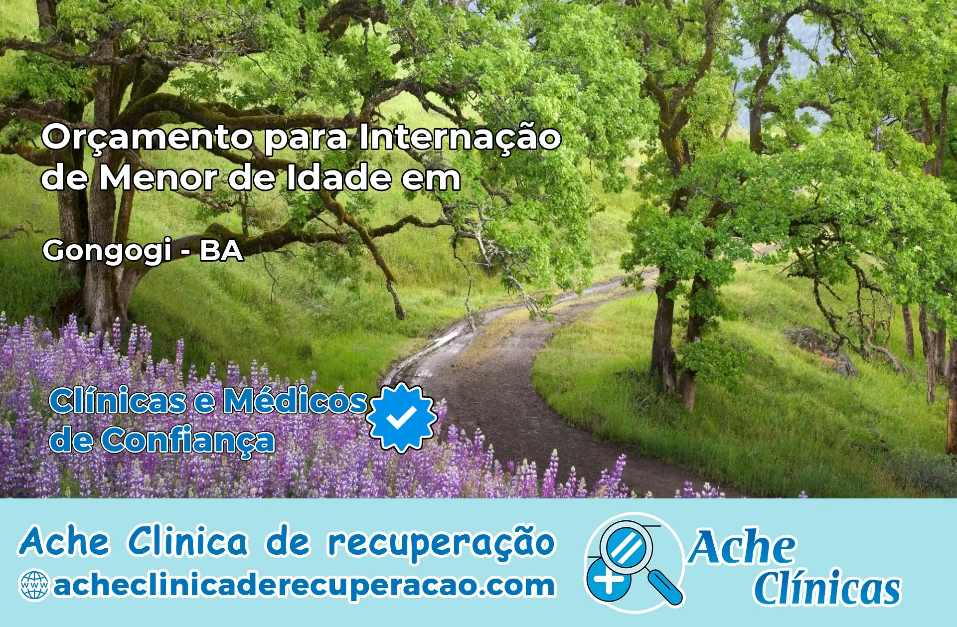 Internação de Menor de Idade em Gongogi – BA