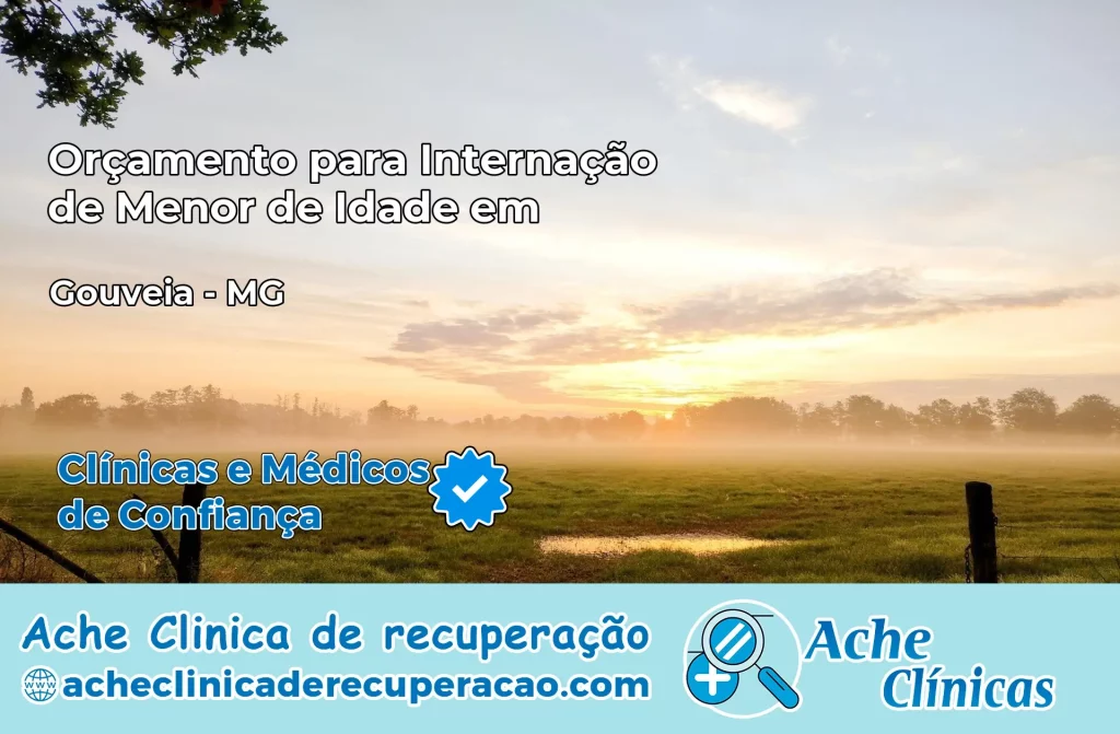 Internação de Menor de Idade em Gouveia – MG