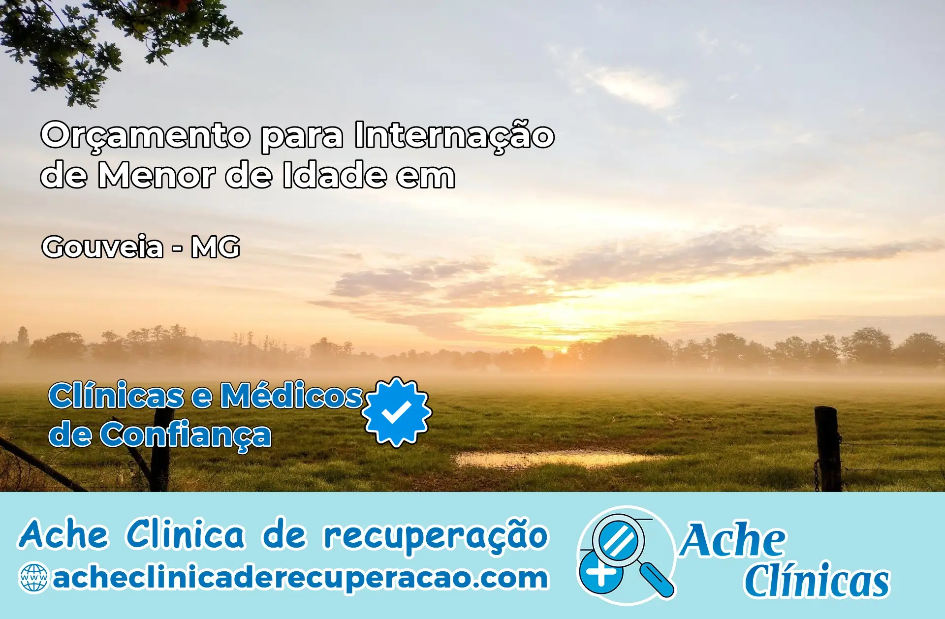Internação de Menor de Idade em Gouveia – MG