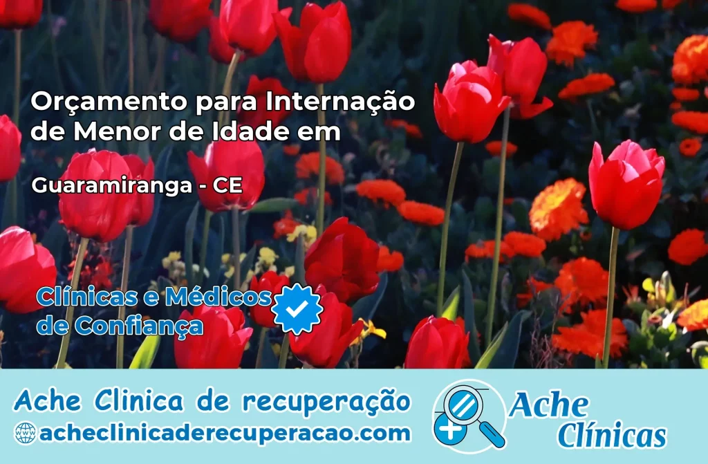 Internação de Menor de Idade em Guaramiranga – CE