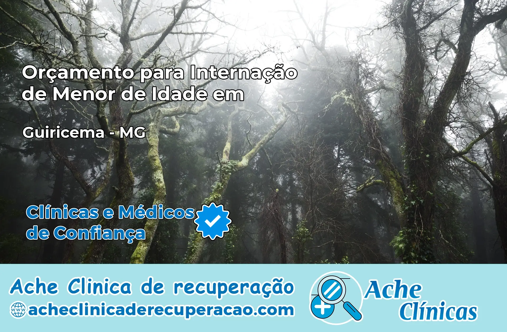 Internação de Menor de Idade em Guiricema – MG
