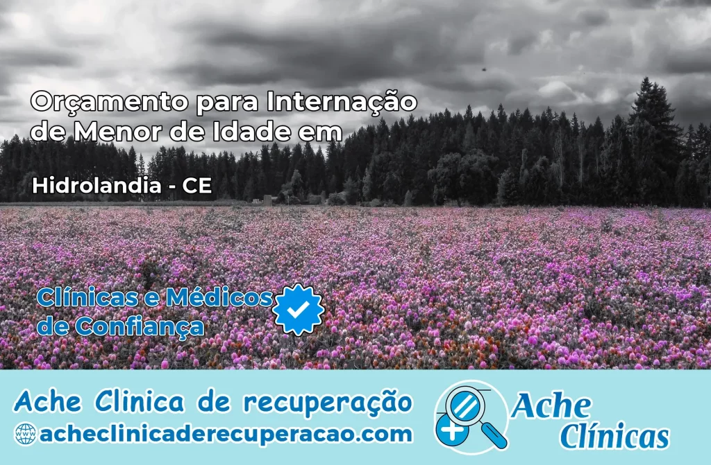 Internação de Menor de Idade em Hidrolândia – CE