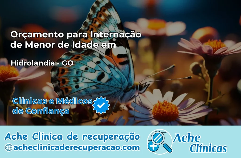 Internação de Menor de Idade em Hidrolândia – GO