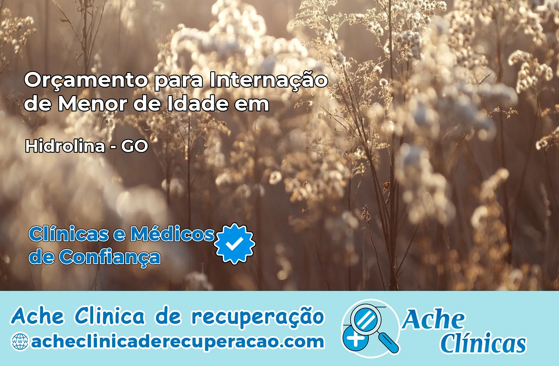 Internação de Menor de Idade em Hidrolina – GO