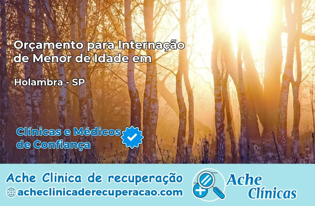 Internação de Menor de Idade em Holambra – SP