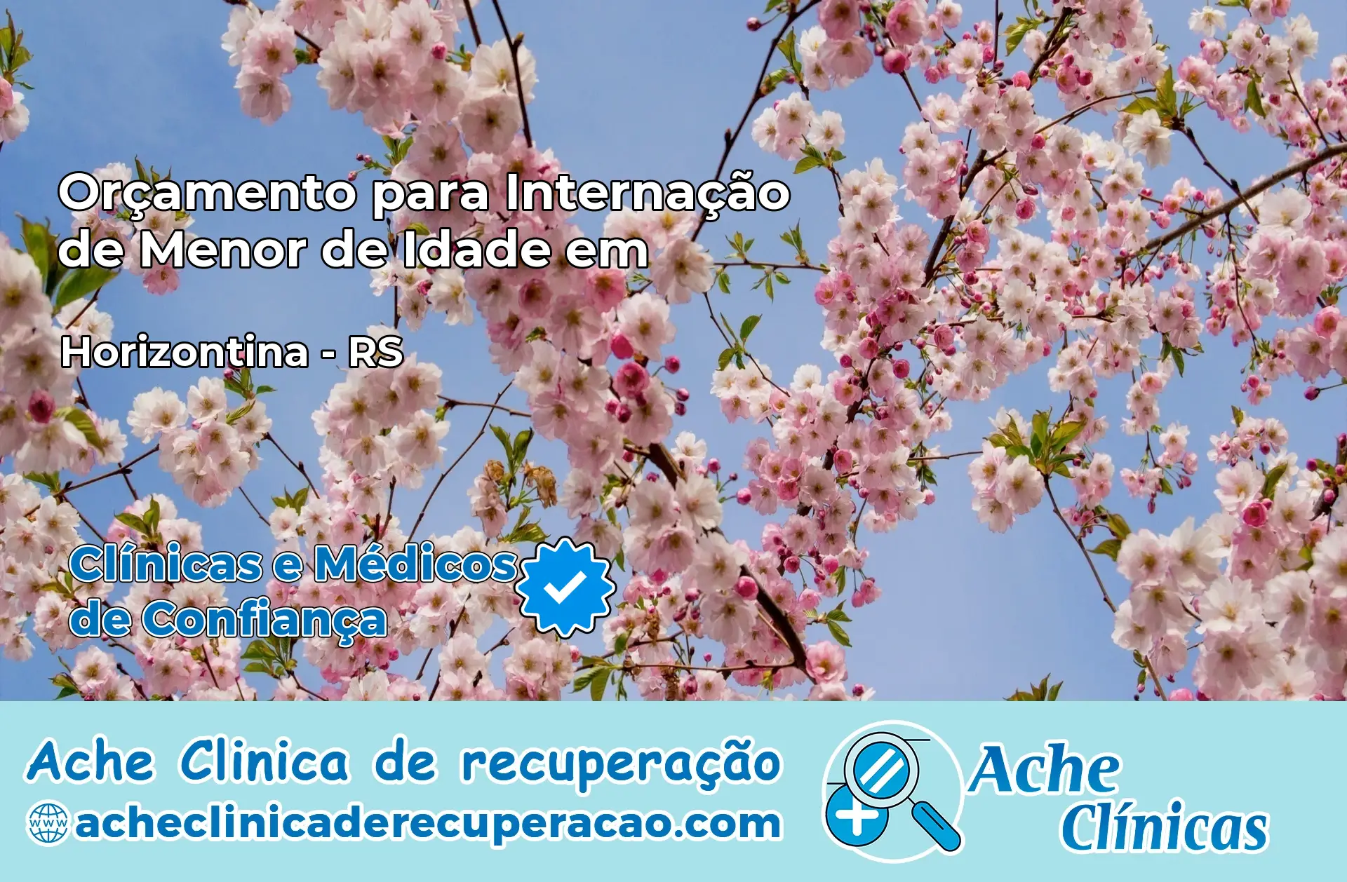 Internação de Menor de Idade em Horizontina – RS
