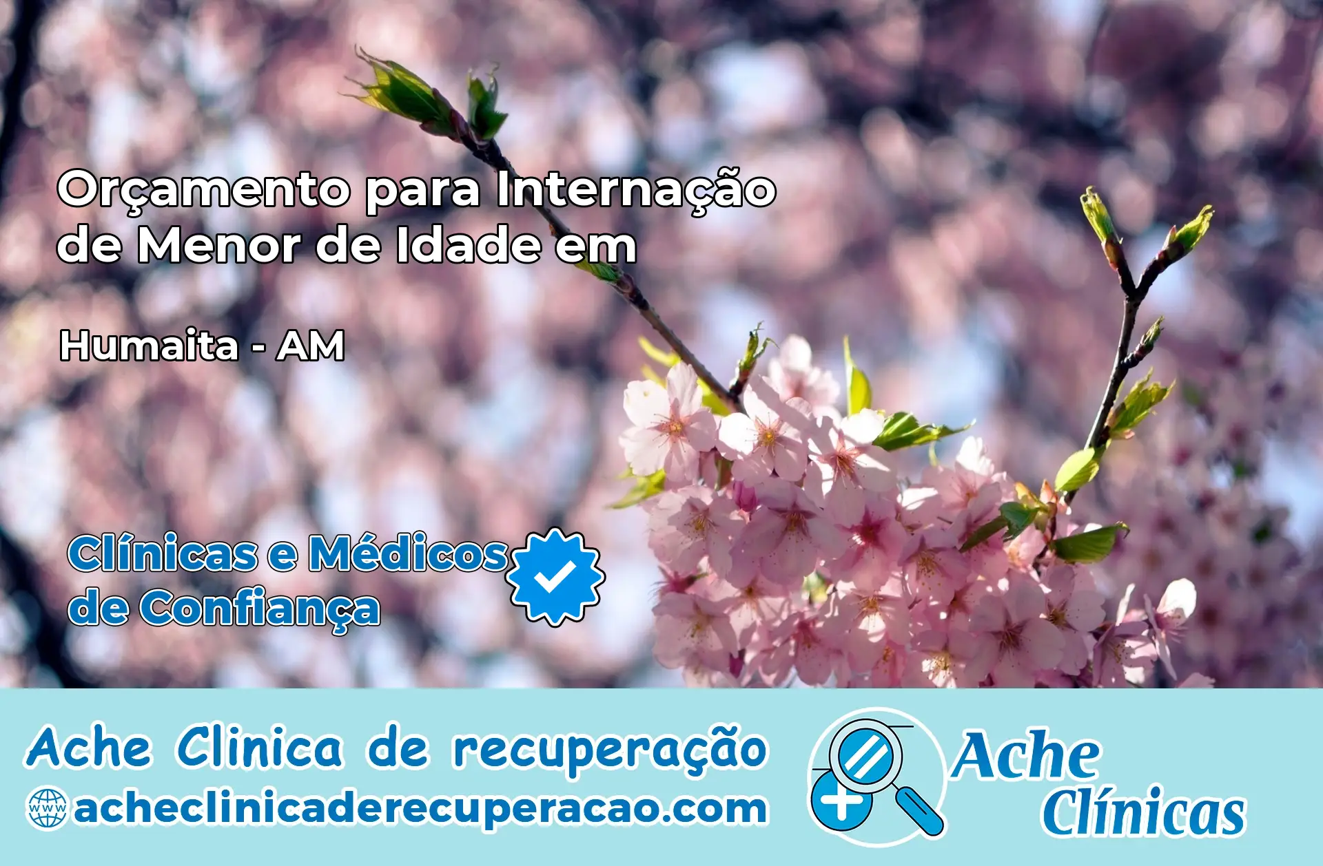 Internação de Menor de Idade em Humaitá – AM