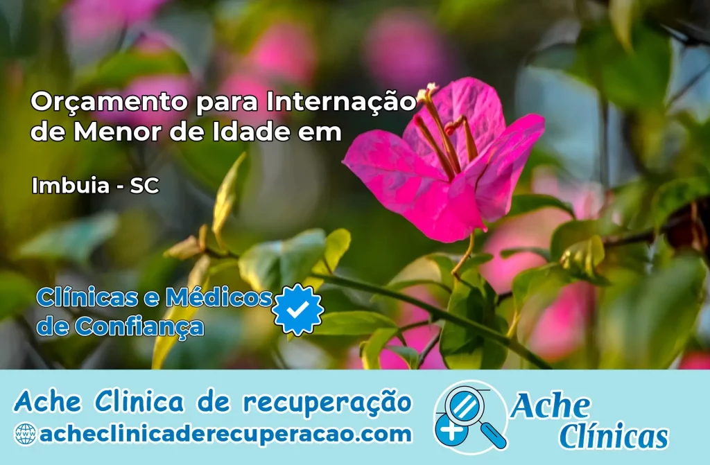 Internação de Menor de Idade em Imbuia – SC