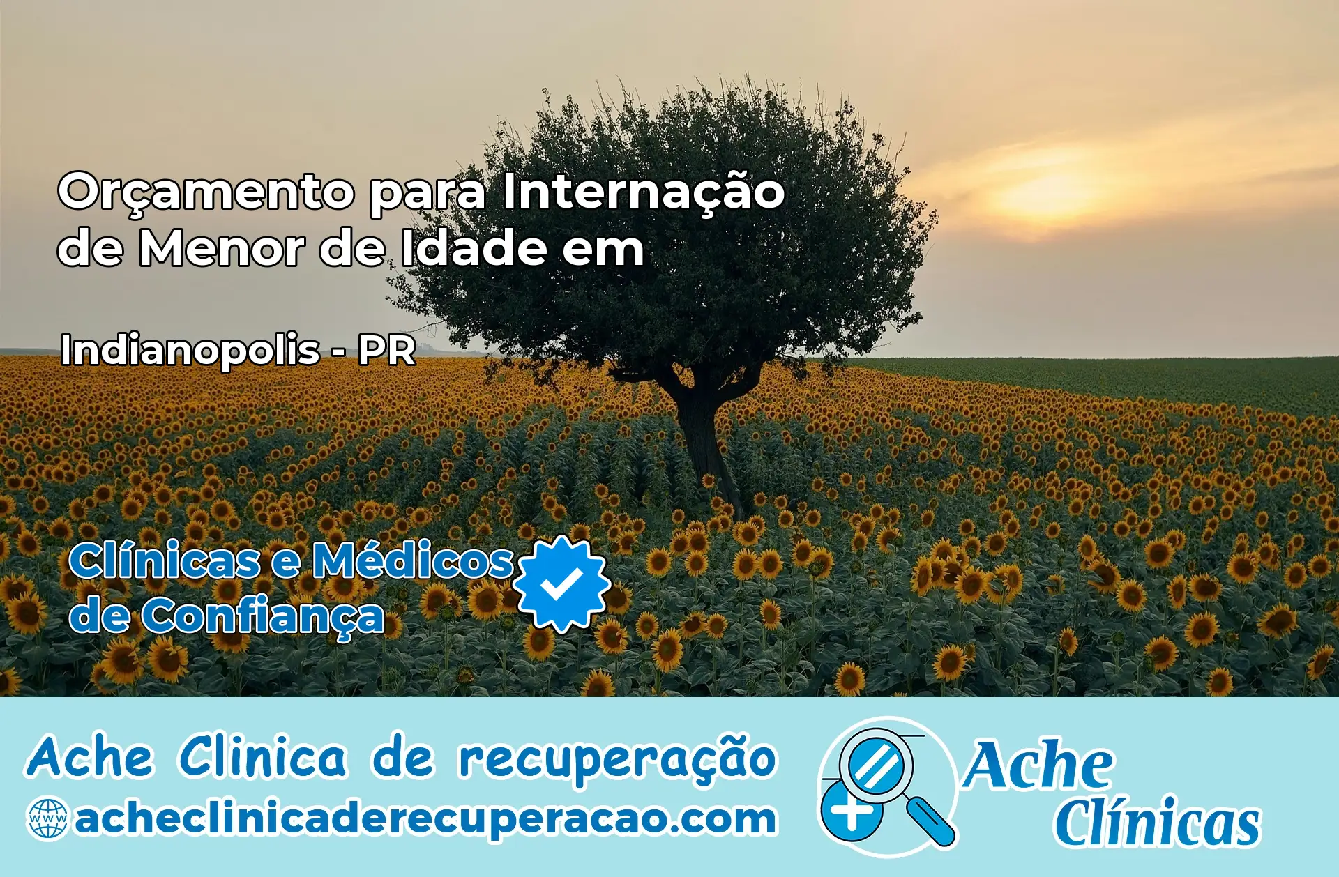Internação de Menor de Idade em Indianópolis – PR