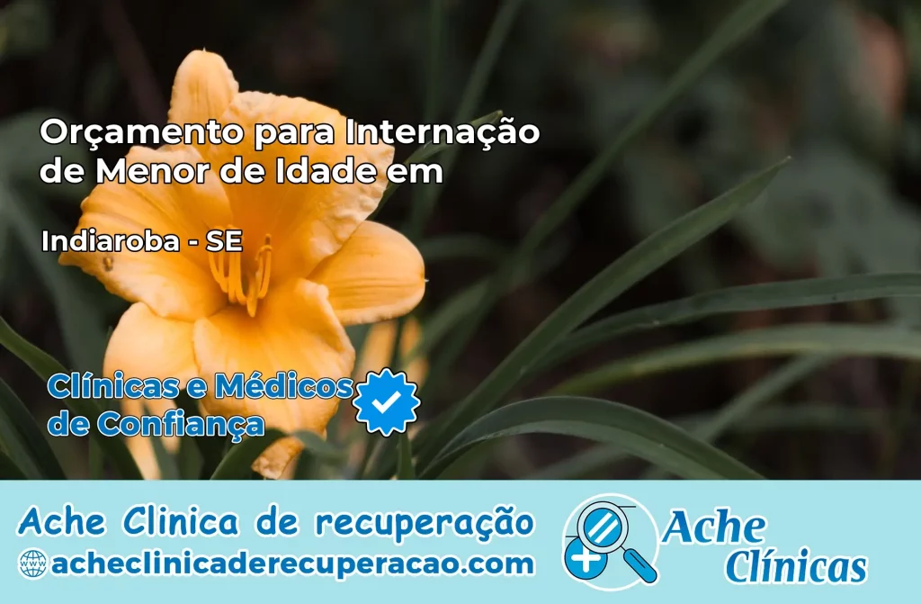 Internação de Menor de Idade em Indiaroba – SE