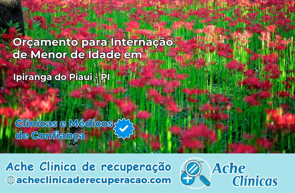 Internação de Menor de Idade em Ipiranga do Piauí – PI