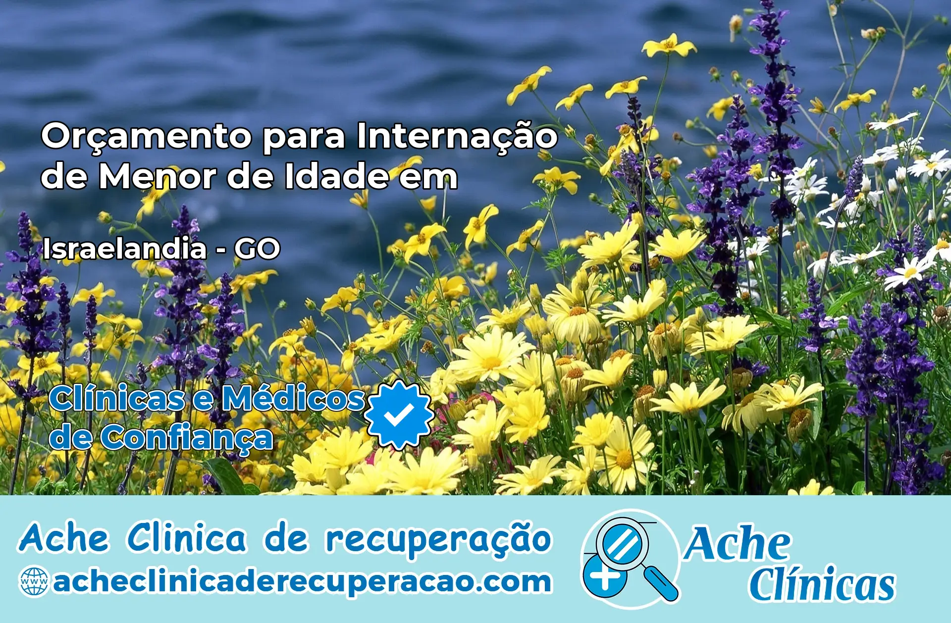 Internação de Menor de Idade em Israelândia – GO