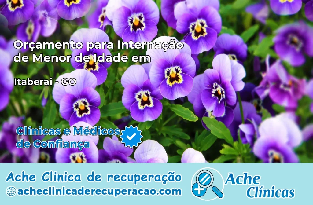 Internação de Menor de Idade em Itaberaí – GO