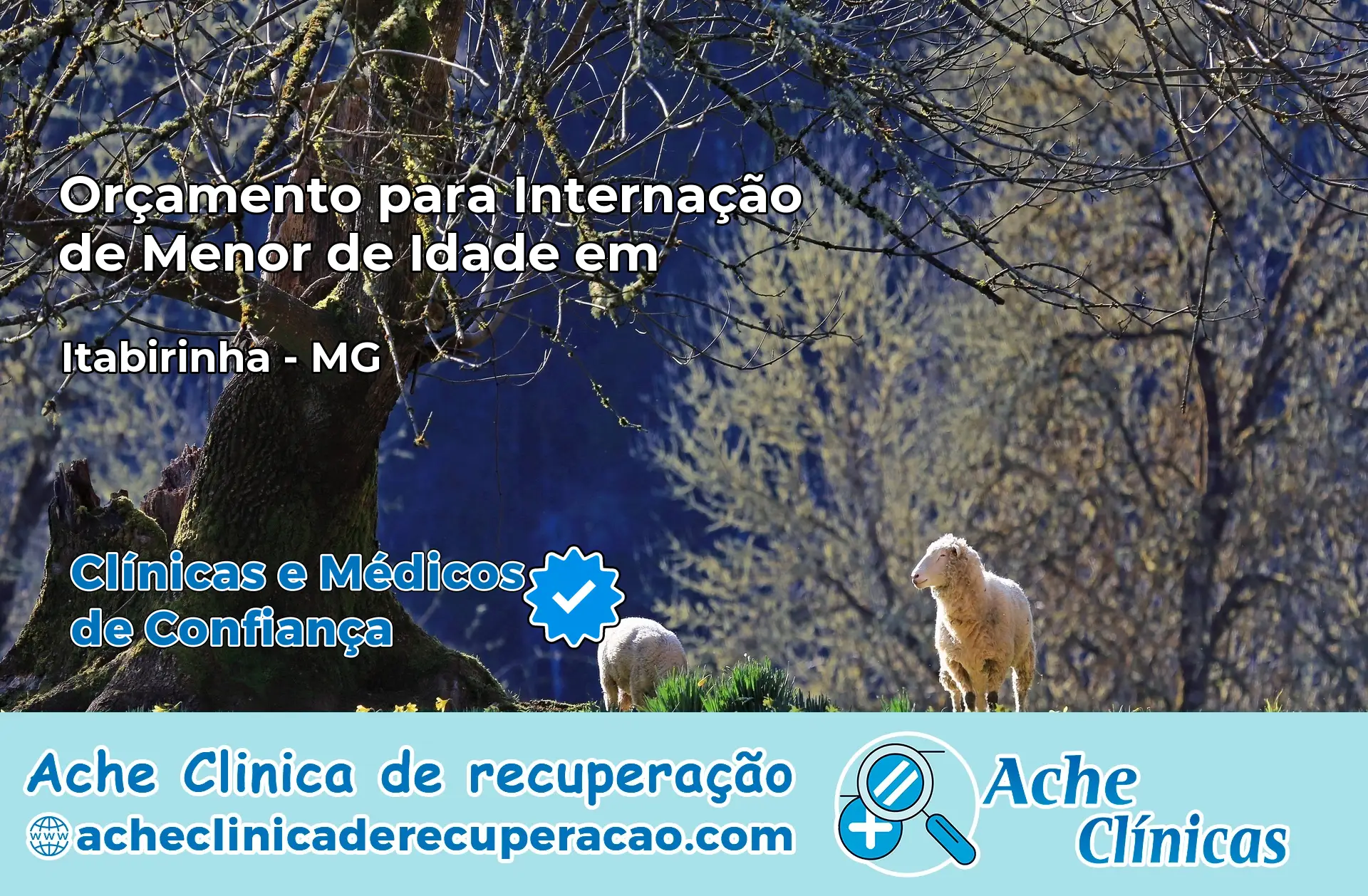Internação de Menor de Idade em Itabirinha – MG