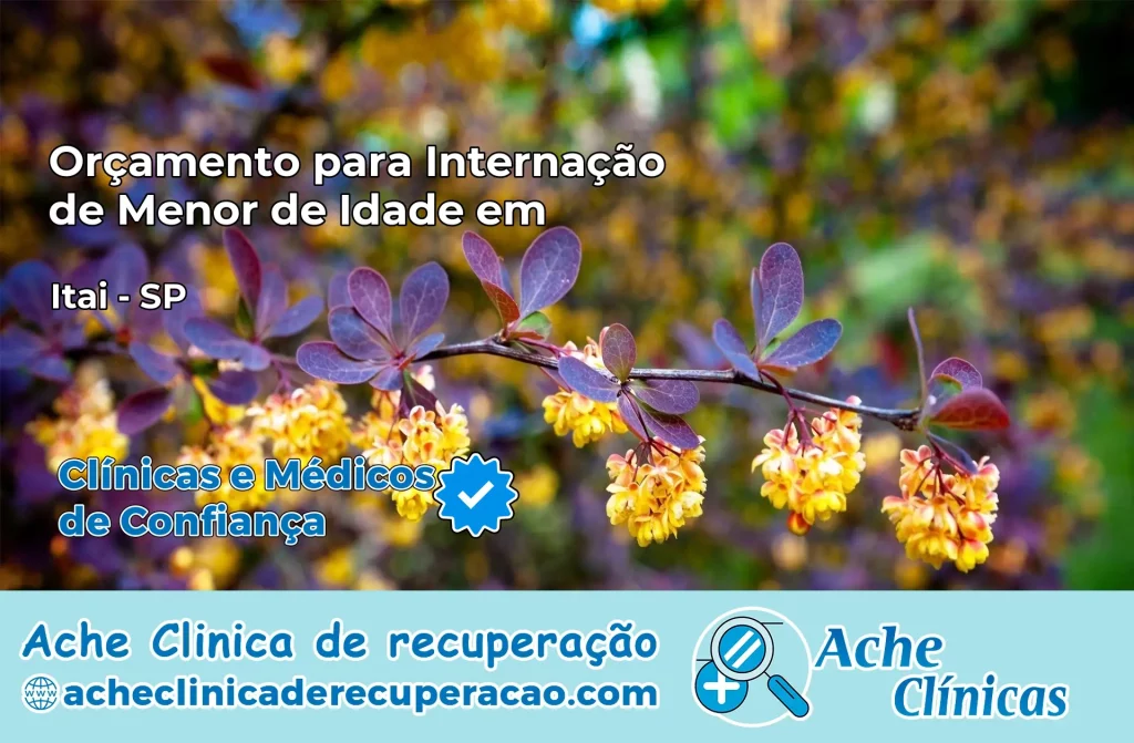 Internação de Menor de Idade em Itaí – SP