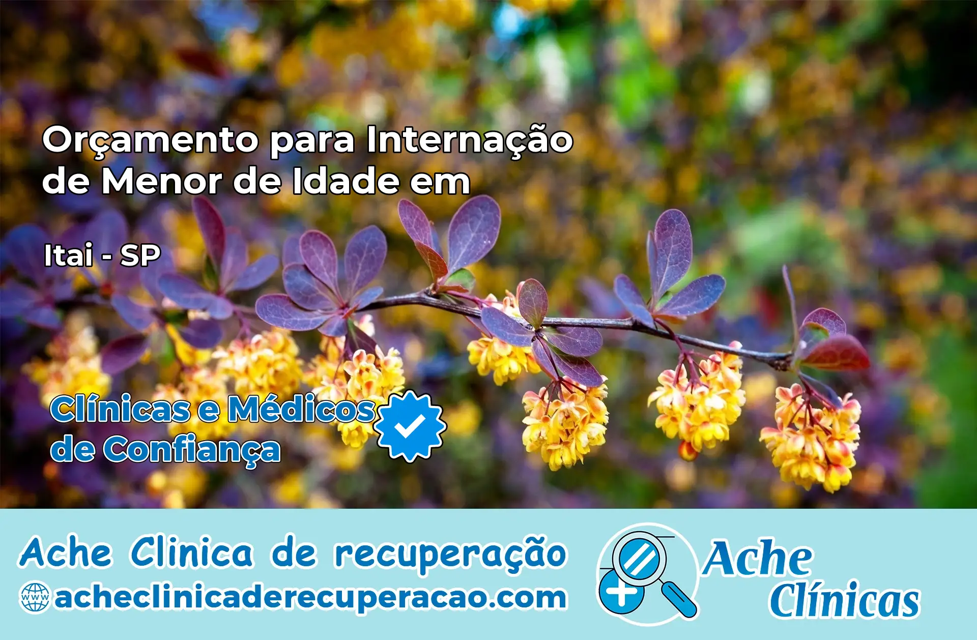 Internação de Menor de Idade em Itaí – SP