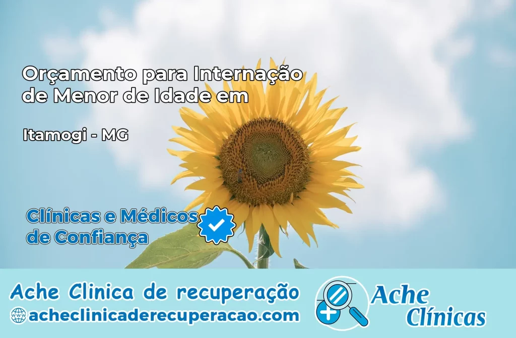Internação de Menor de Idade em Itamogi – MG