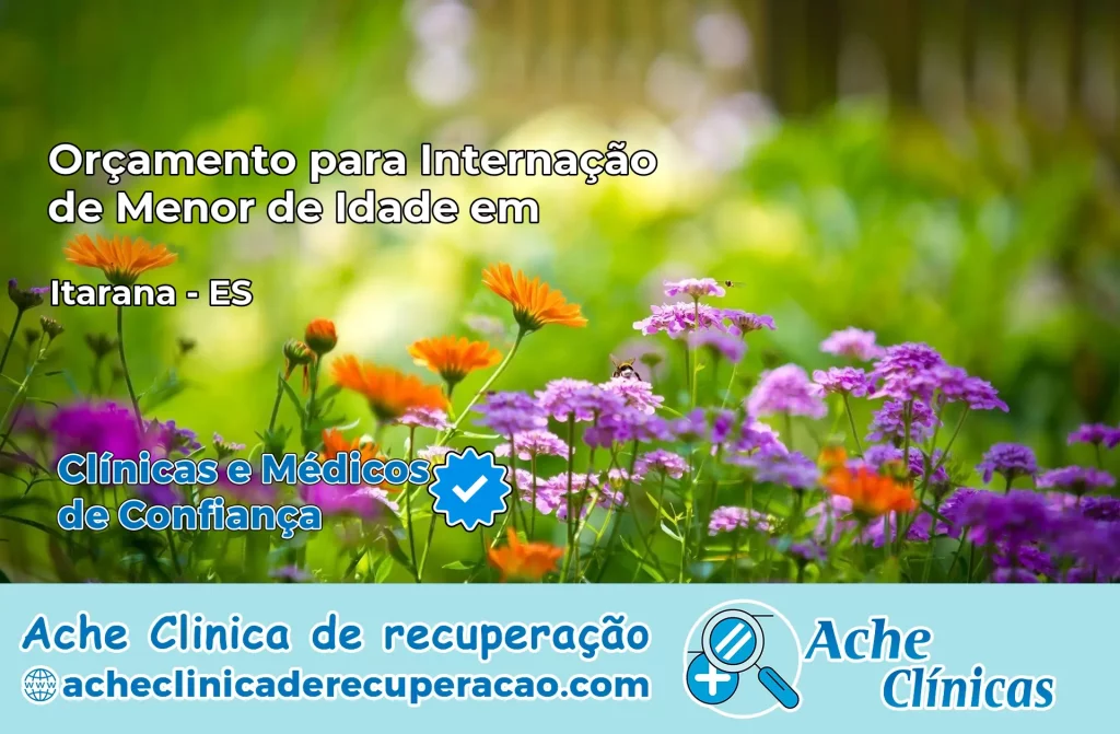 Internação de Menor de Idade em Itarana – ES