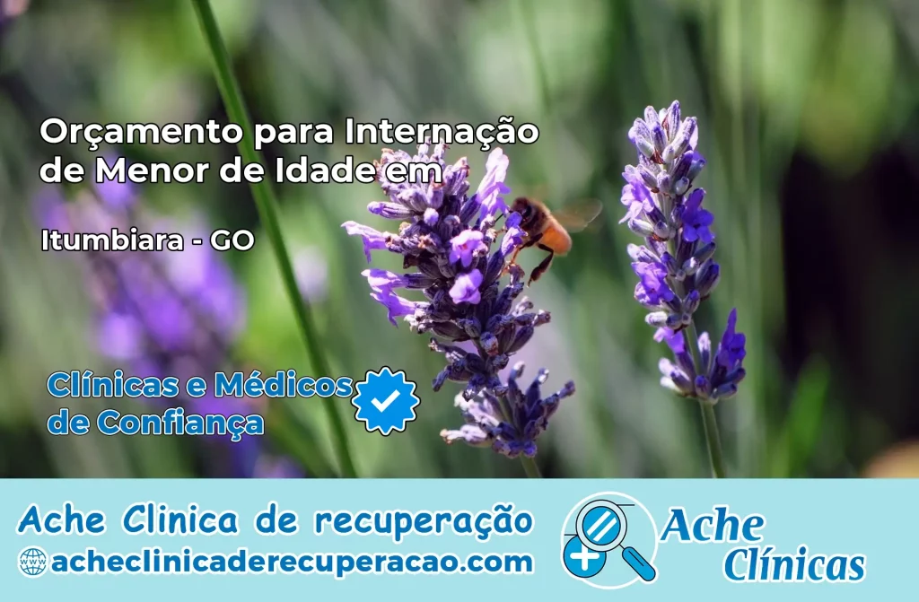 Internação de Menor de Idade em Itumbiara – GO