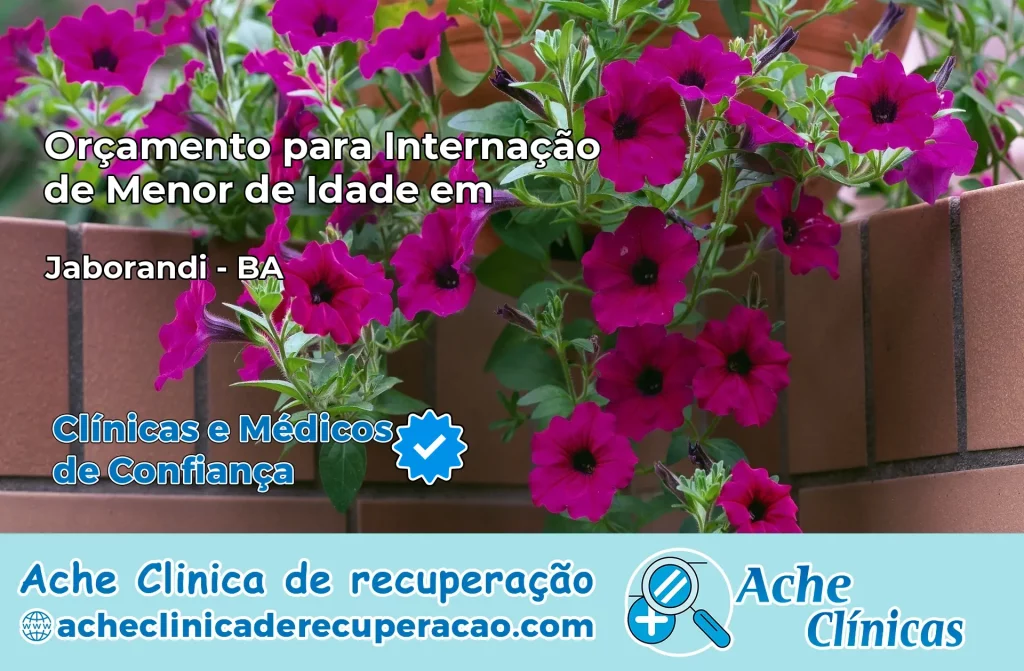 Internação de Menor de Idade em Jaborandi – BA