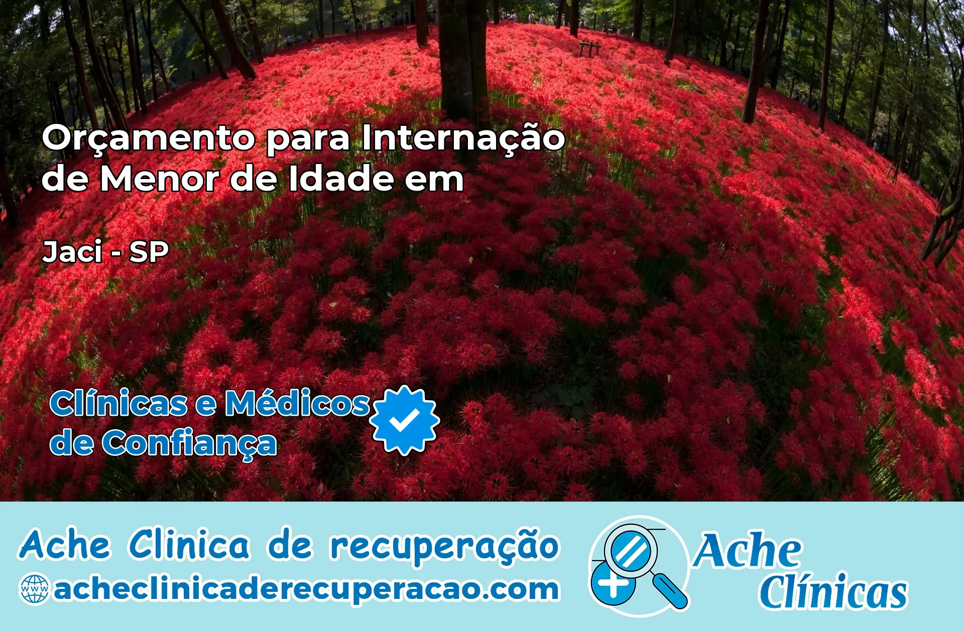 Internação de Menor de Idade em Jaci – SP