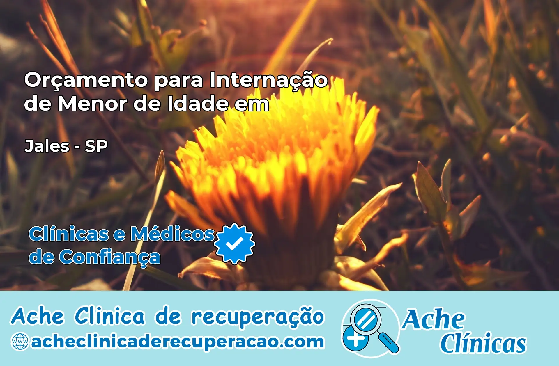 Internação de Menor de Idade em Jales – SP