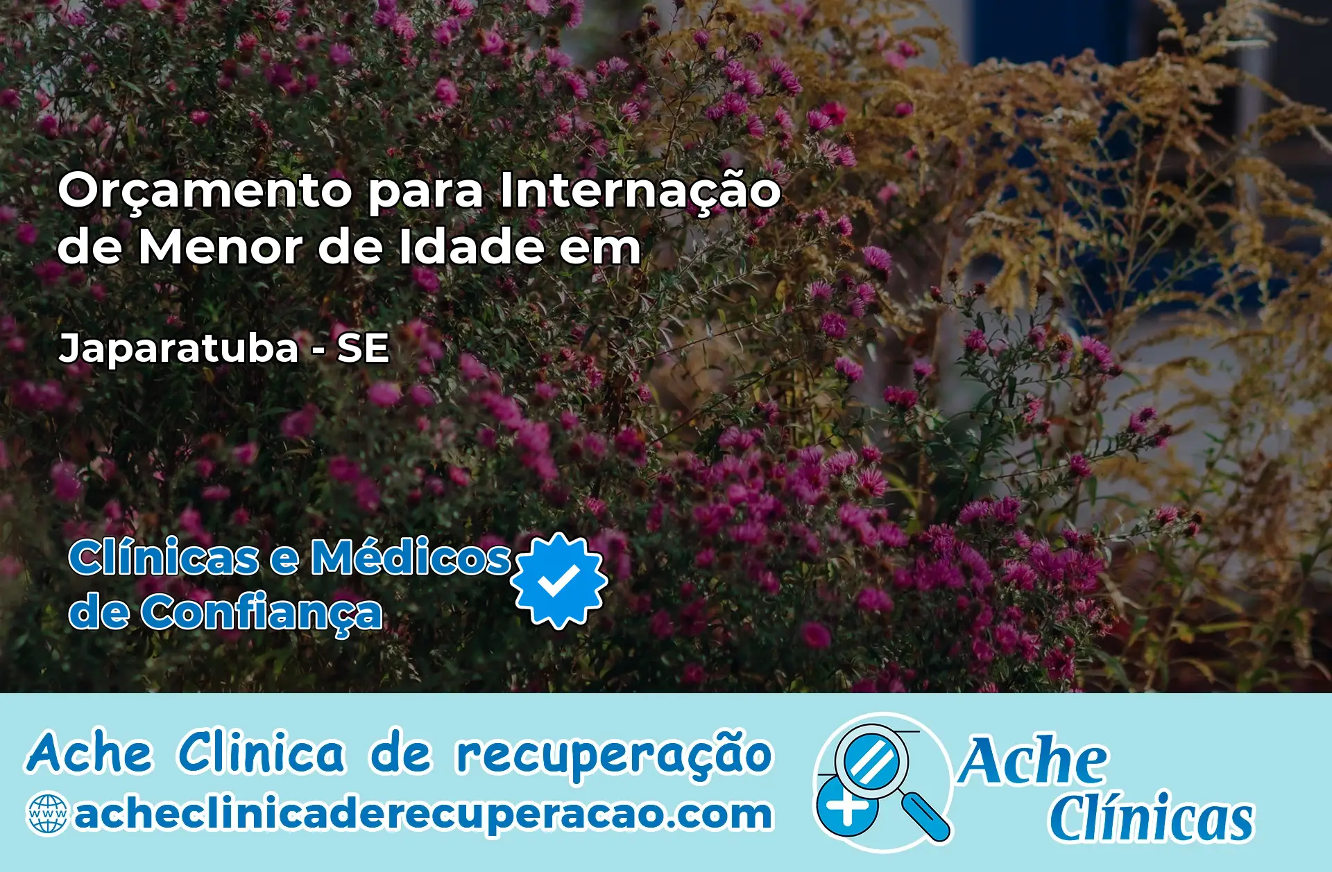 Internação de Menor de Idade em Japaratuba – SE