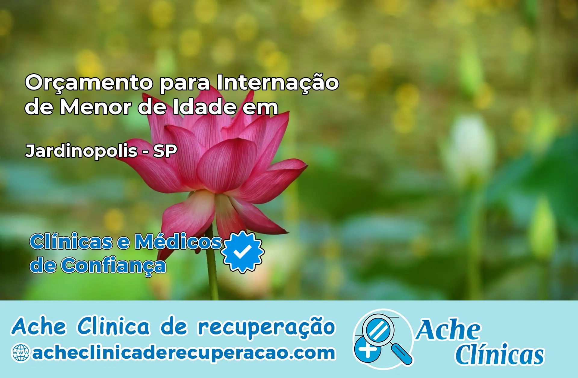 Internação de Menor de Idade em Jardinópolis – SP